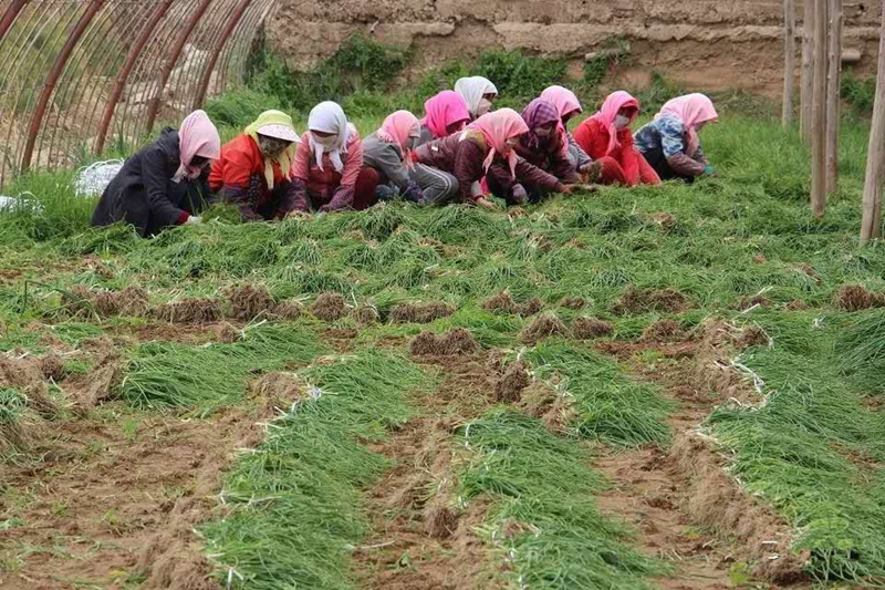 1558609606715033.png 1.png