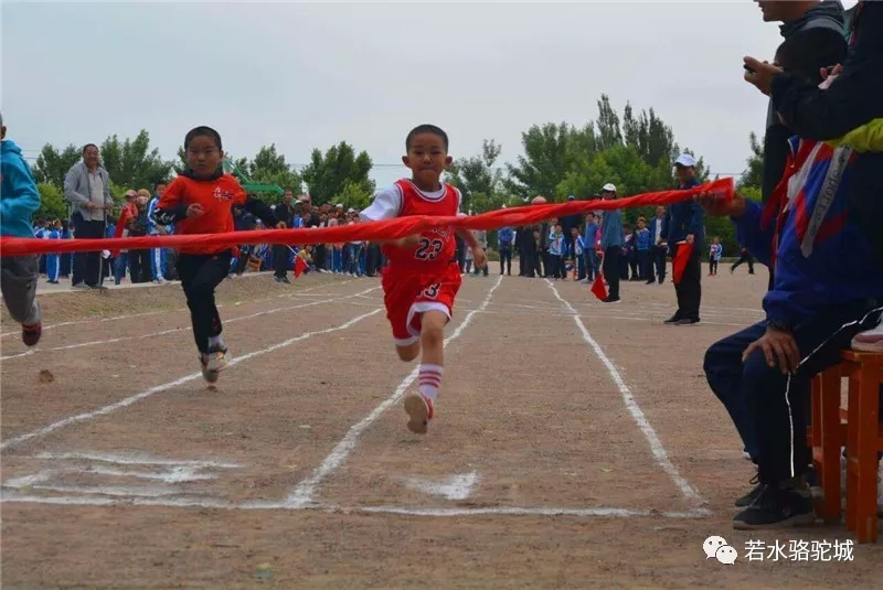 1559524572907858.jpg 640.webp (4).jpg