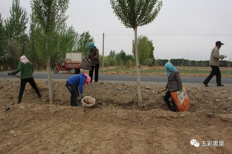 1561340862524829.jpg 1.jpg