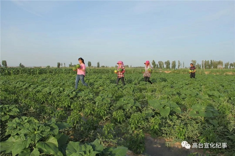 1562053584531935.jpg 1.jpg