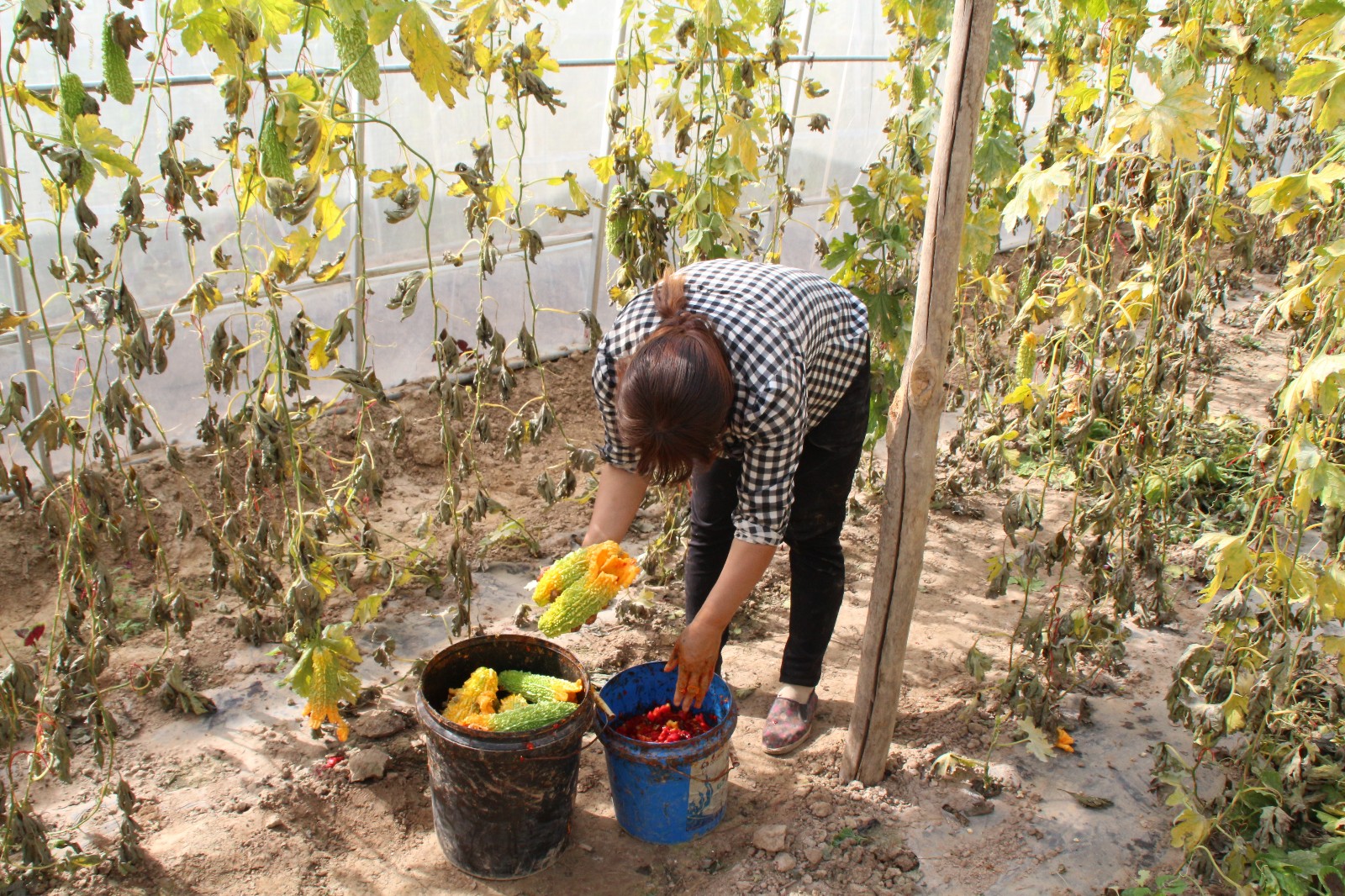 1568642652557245.jpg 1568642652557245.jpg