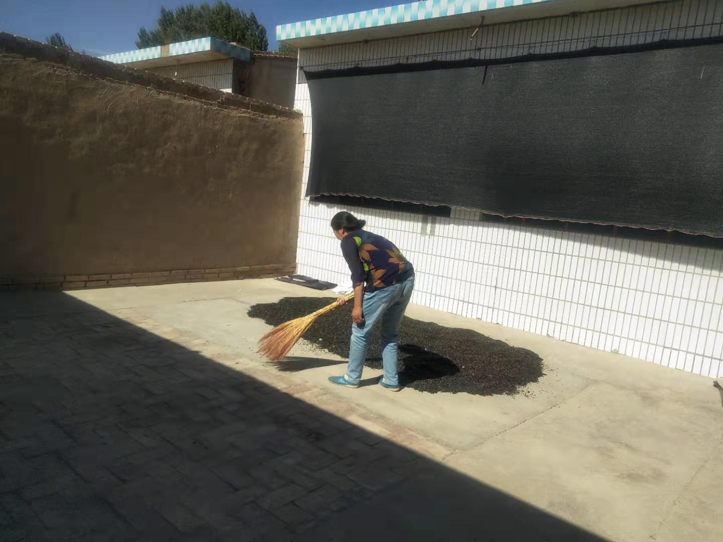 1569213429633352.jpg 1569213429633352.jpg