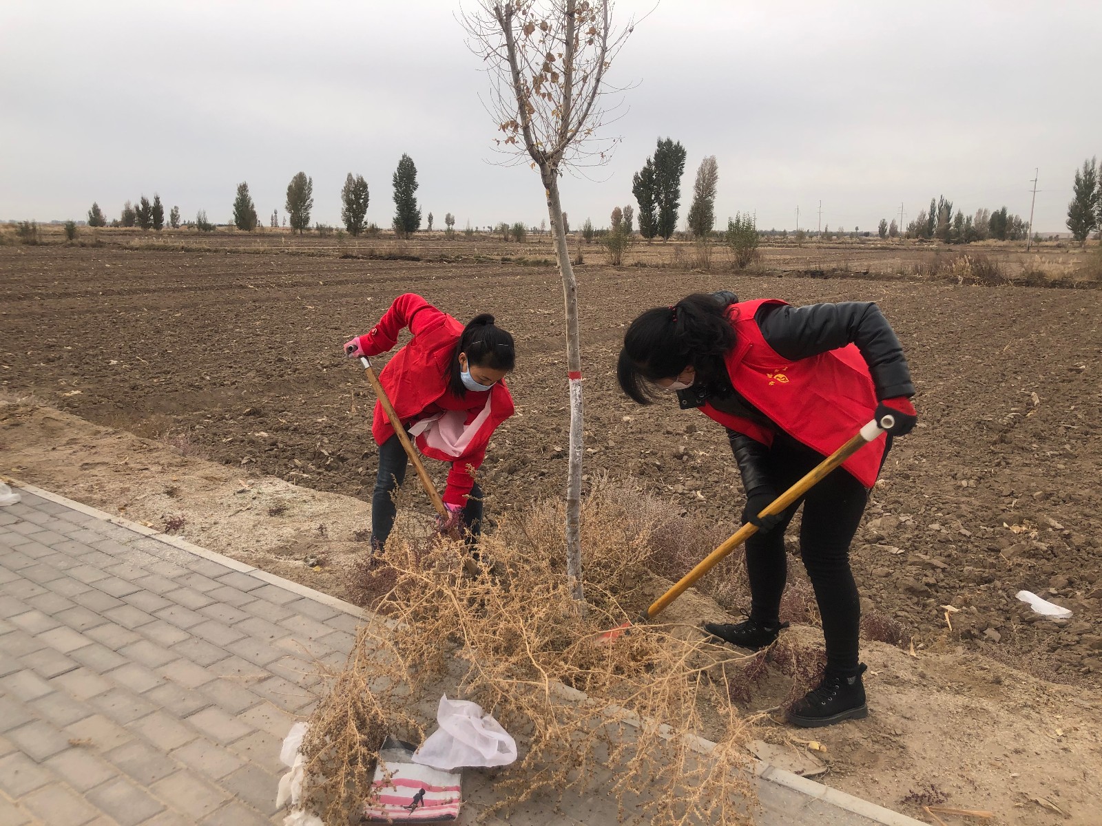 1573025347233144.jpg 1573025347233144.jpg