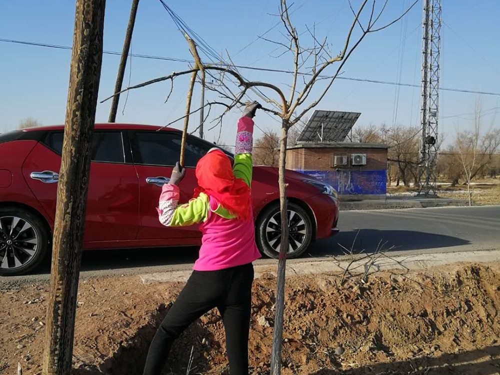 1583744368722895.jpg mmexport1583676705740_mh1583682240687.jpg