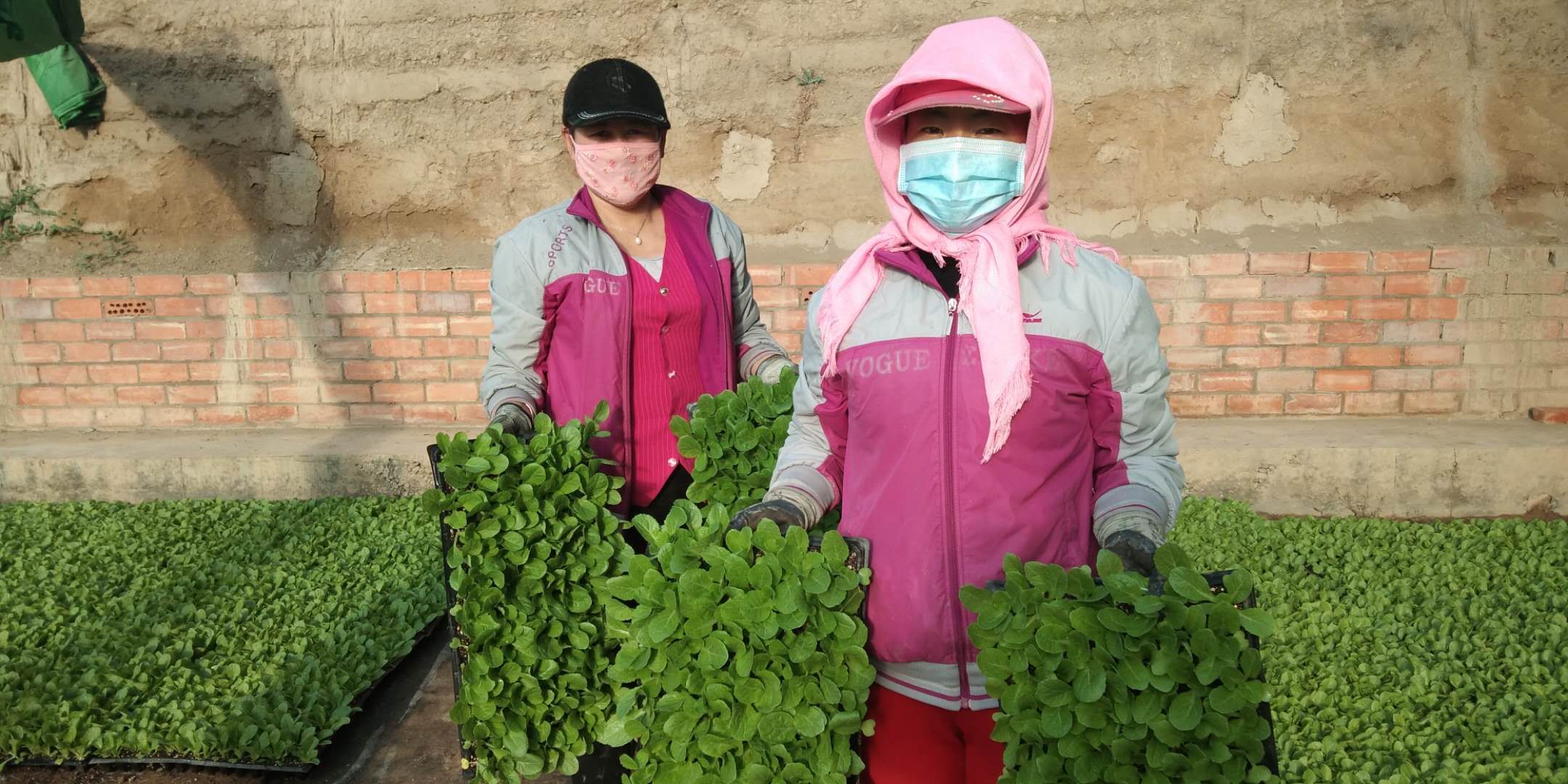 1583746424801476.jpg 1583746424801476.jpg