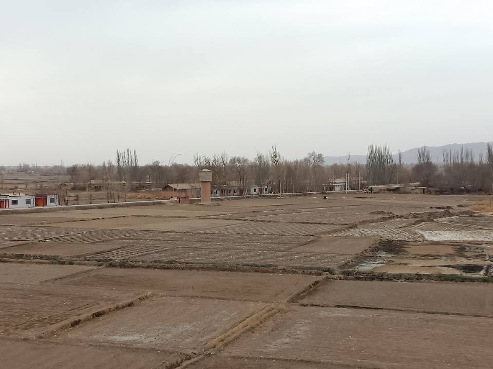 1585122460531307.png image.png