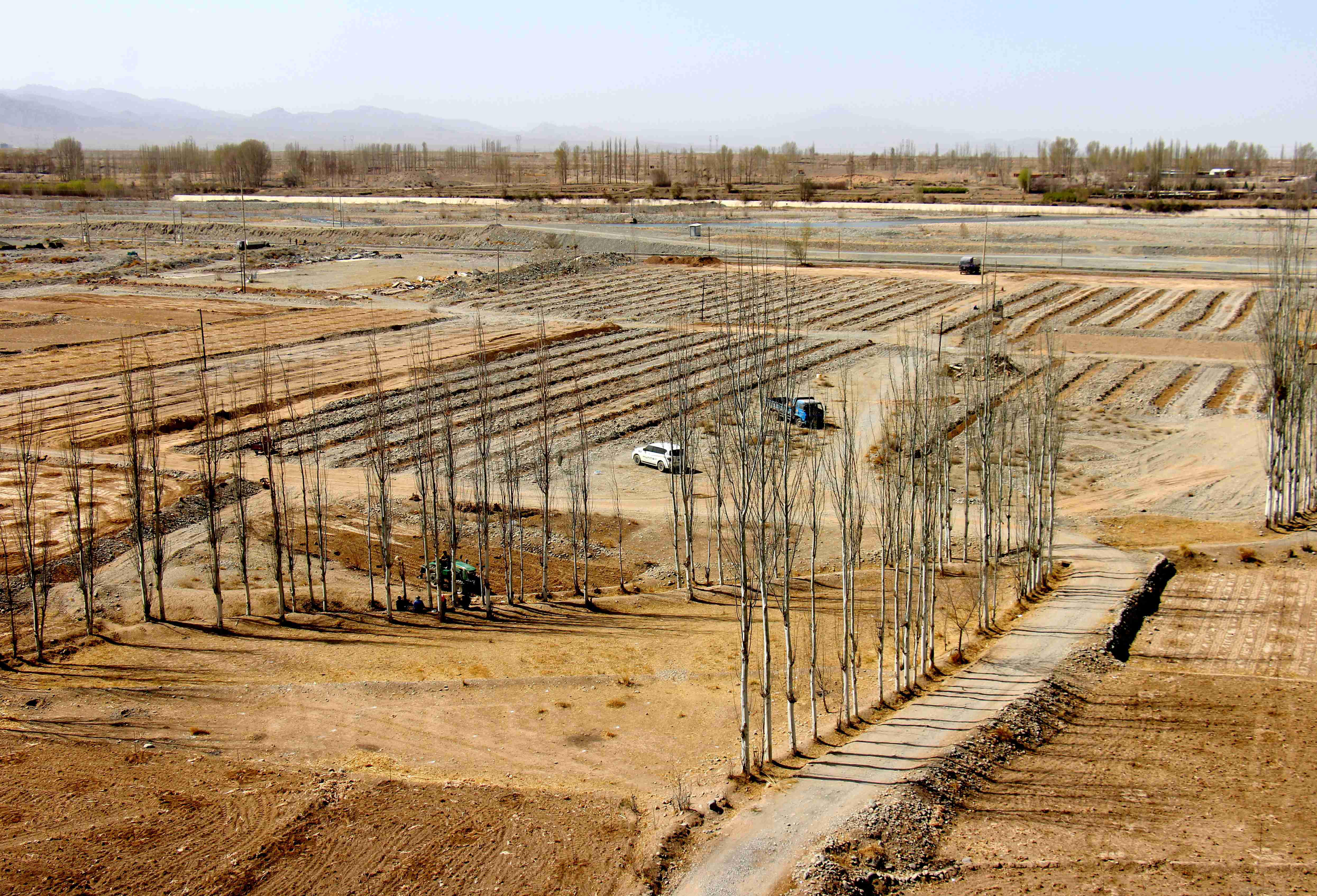 1586501684270708.jpg 植树造林16.jpg