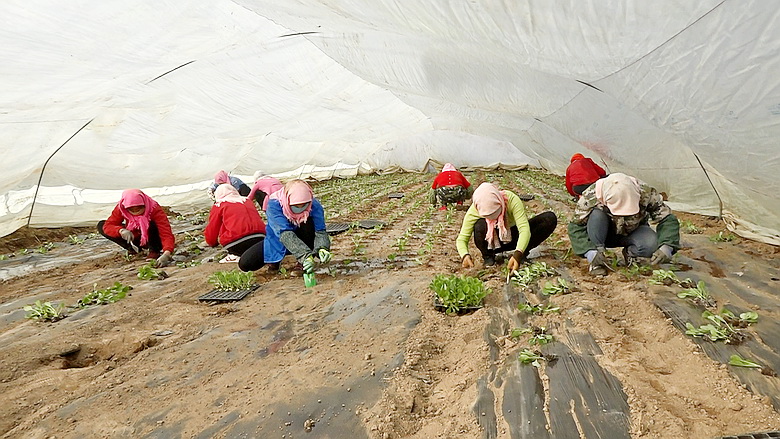 1586836955562612.jpg 1586836955562612.jpg