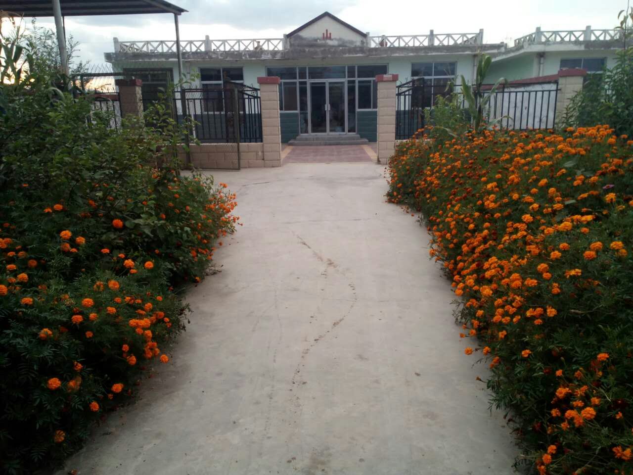 1586855743493857.jpg mmexport1505465554303.jpg