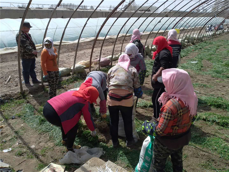 1587524662492228.jpg mmexport1587047951916.jpg