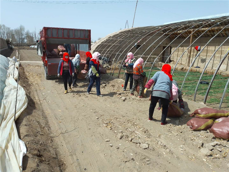 1587524688473285.jpg mmexport1587047949301.jpg