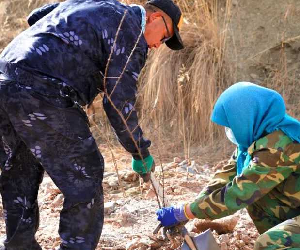 1587608437743347.png QQ截图20200423102012.png