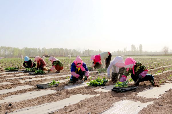 1589361054652549.jpg L1_副本.jpg