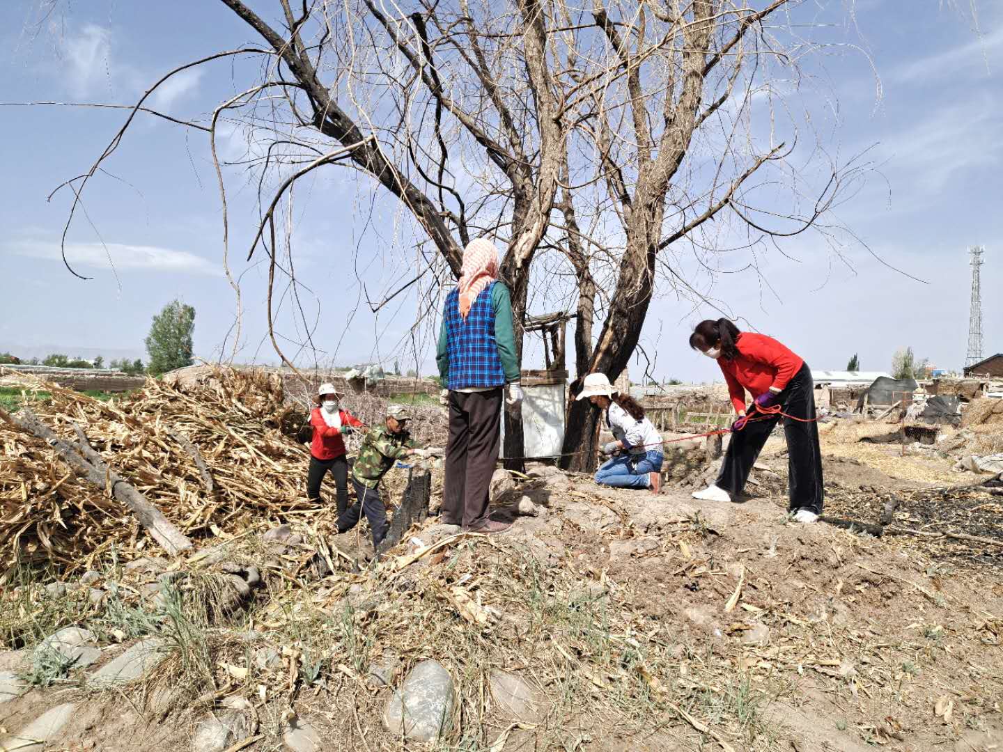 1590561272463313.jpg IMG_6017(20200526-202921).JPG