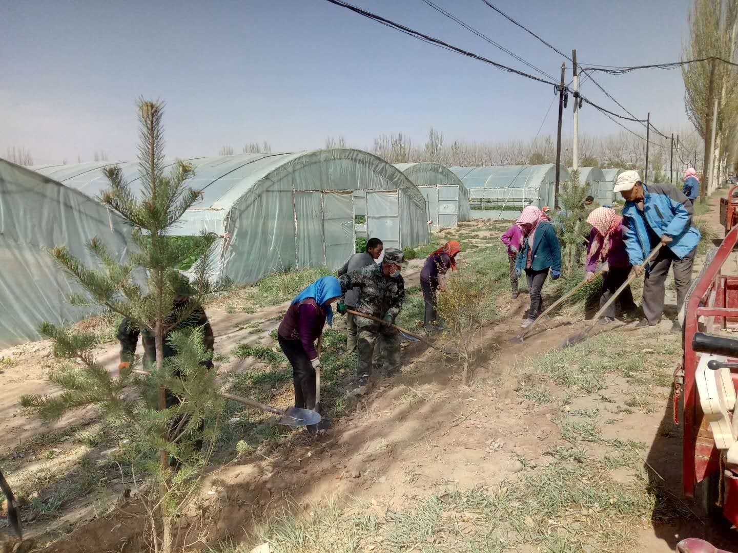 1590626527766370.jpg 3.jpg