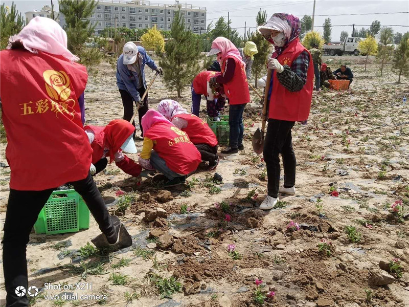 1591882713583599.jpg mmexport1591869143204.jpg