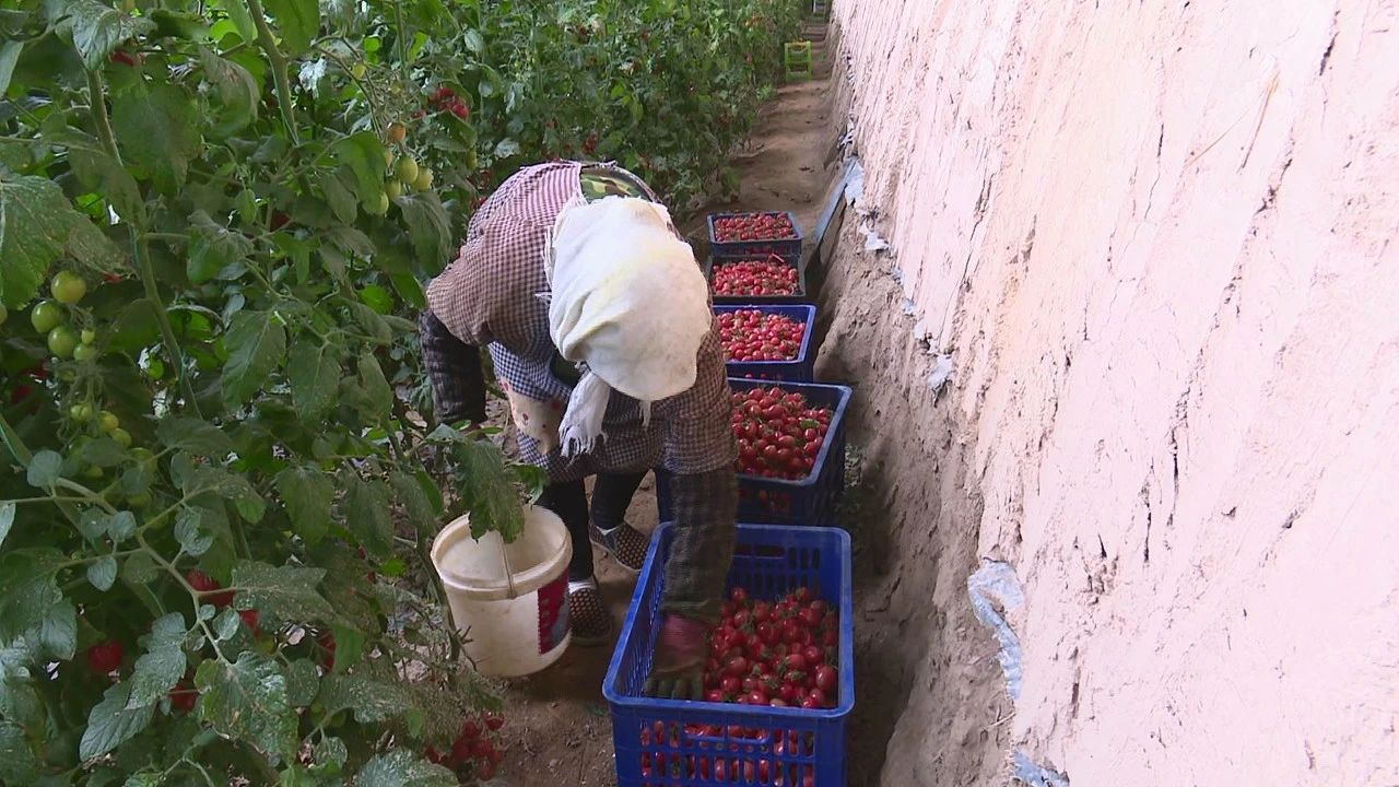 1592213505670187.jpg 1592213505670187.jpg