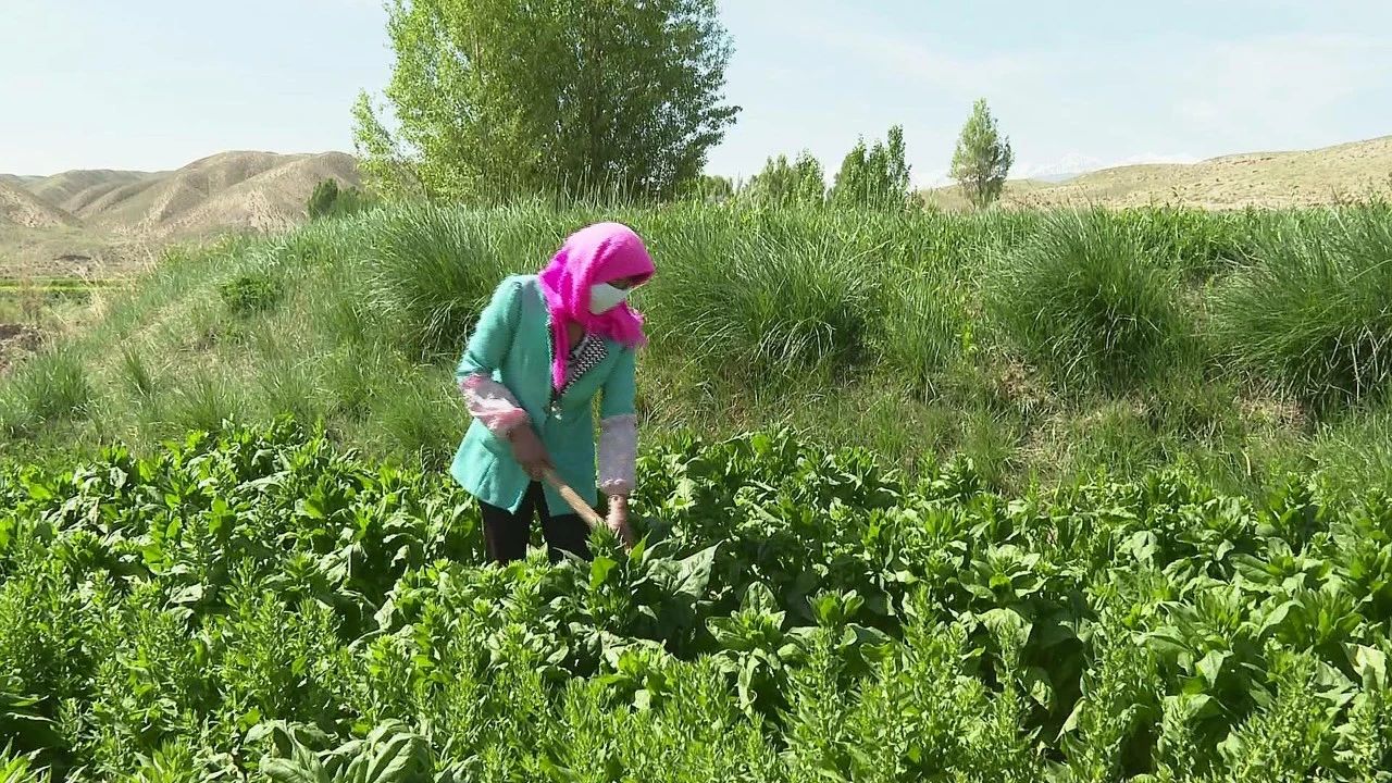 1592213505849131.jpg 1592213505849131.jpg