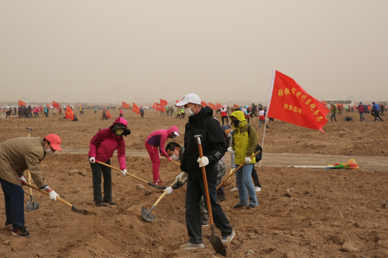 1595923875773296.png 图片11.png