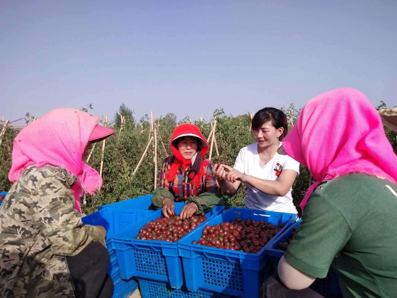 1596277647397906.jpg 1596277647397906.jpg