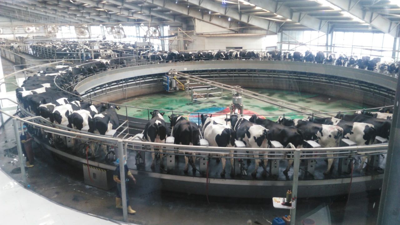 1596277813648955.jpg 1596277813648955.jpg