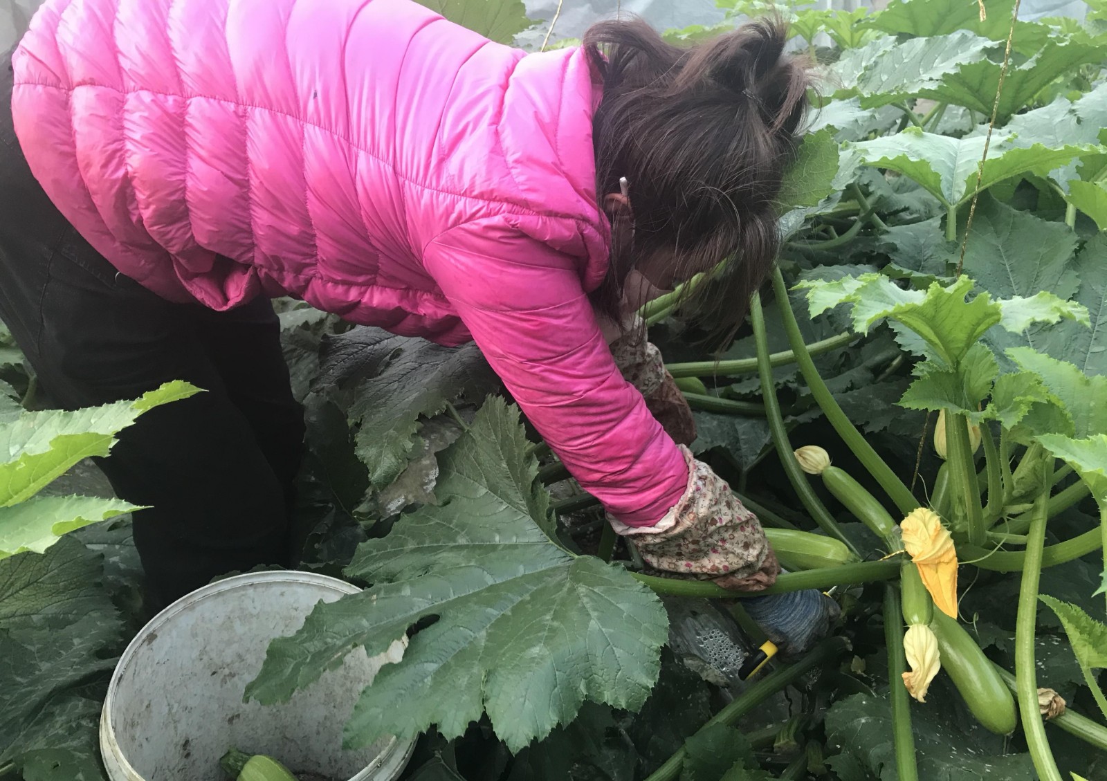 1606750531645205.jpg IMG_20201125_233034.jpg