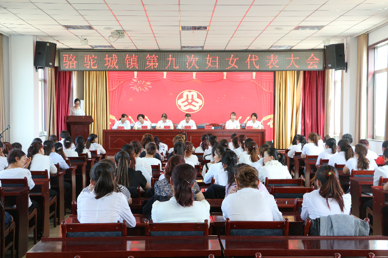 IMG_0031_1.jpg IMG_0031_1.jpg