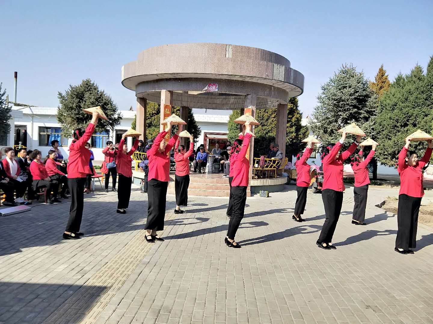 mmexport1539758826521.jpg mmexport1539758826521.jpg