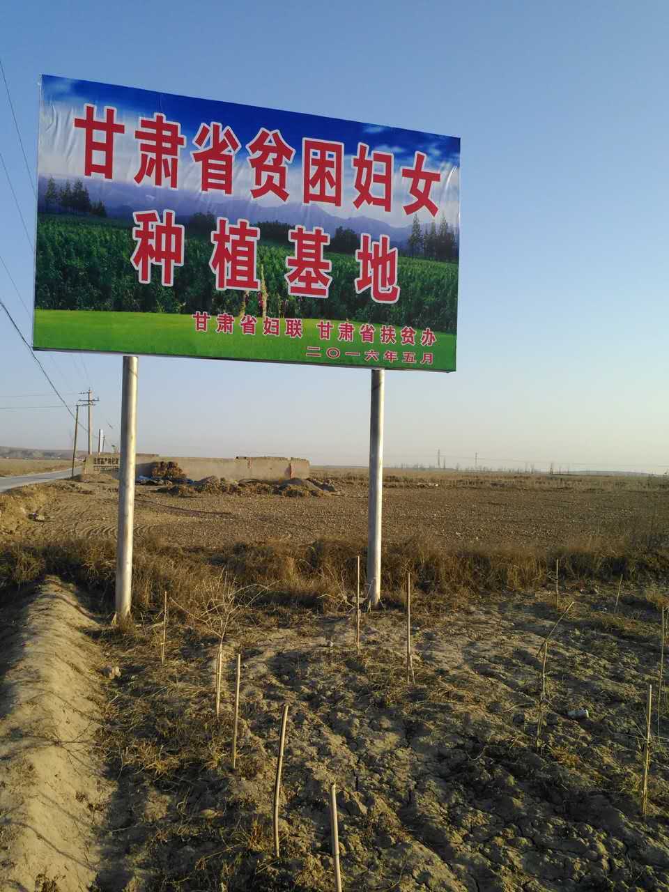 胡兰调研巾帼脱贫12.jpg