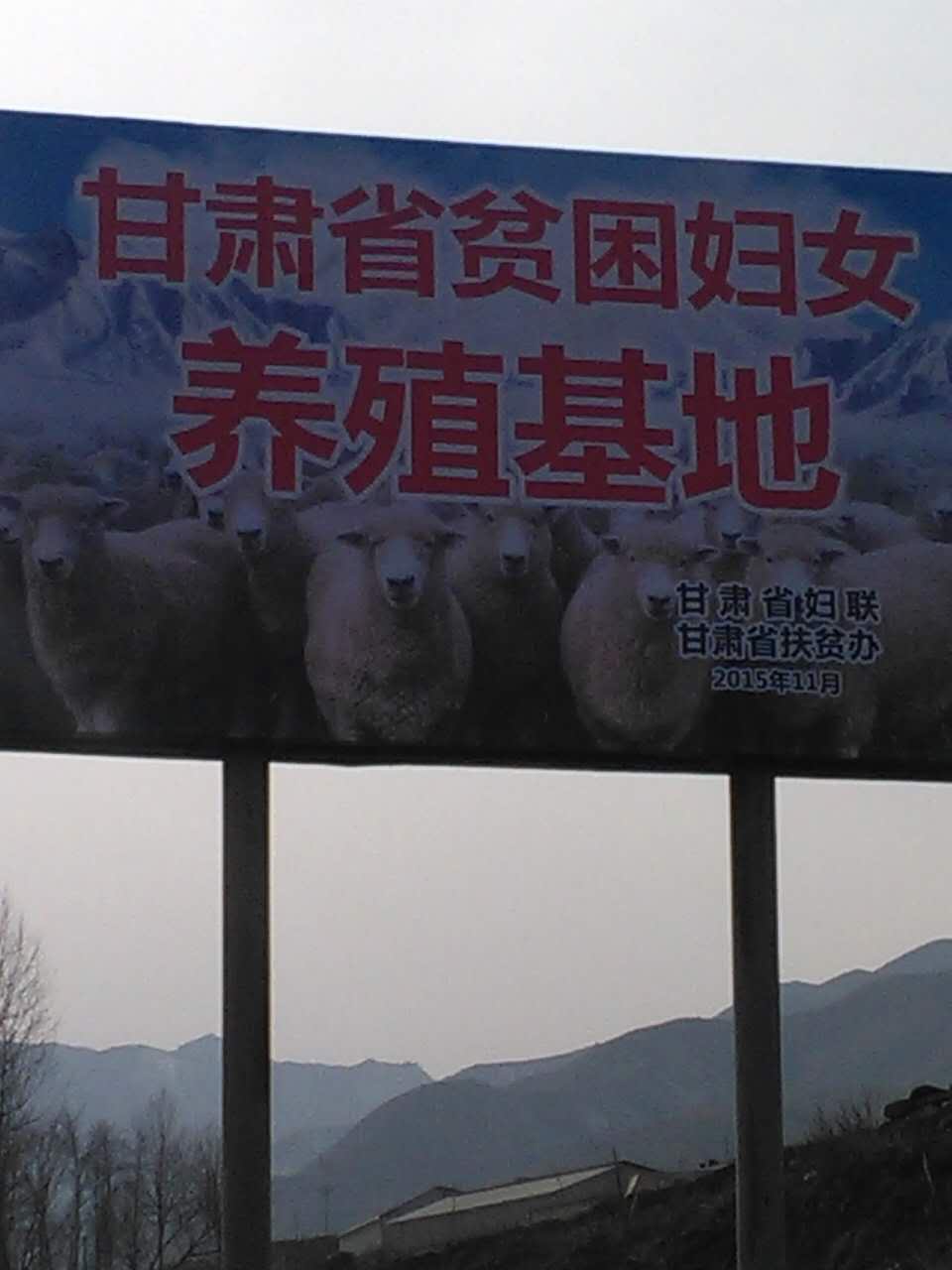 胡兰调研巾帼脱贫9.jpg
