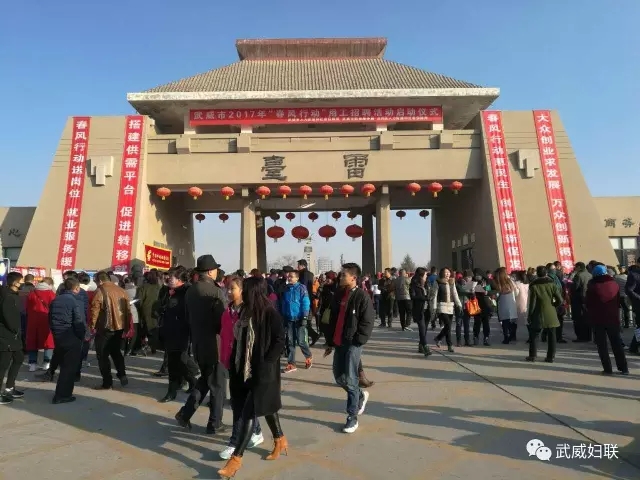 春风行动.webp.jpg