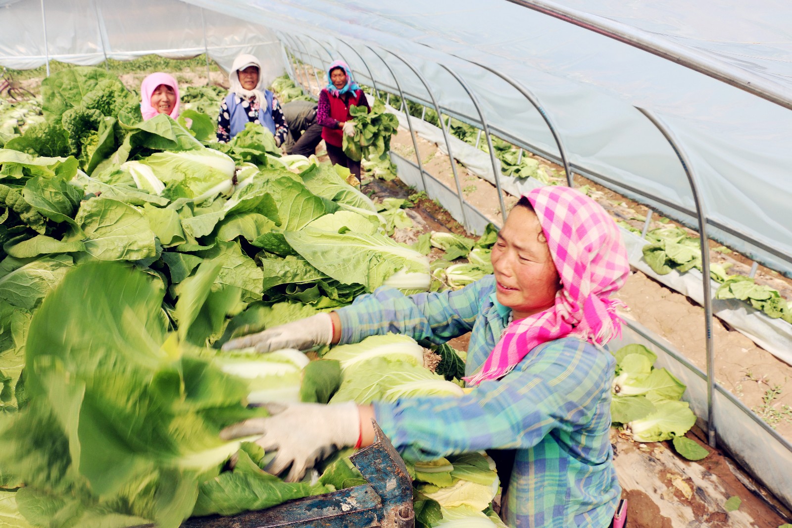 IMG_051200.jpg IMG_051200.jpg