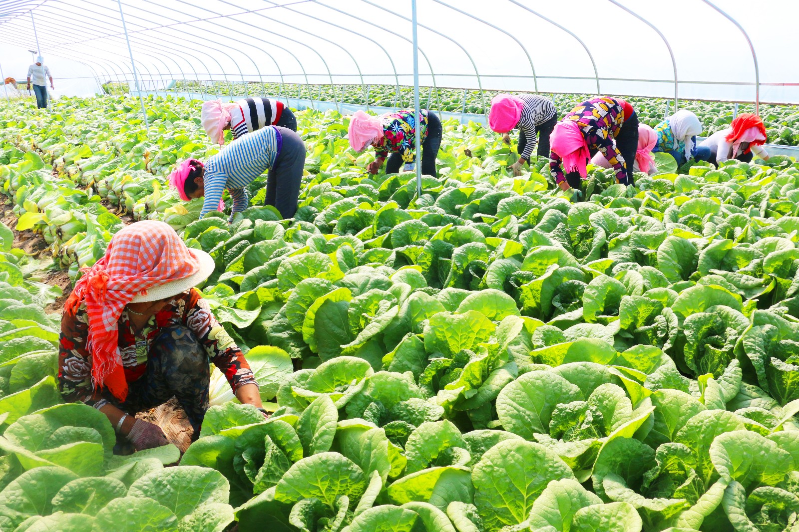 IMG_053400.jpg IMG_053400.jpg