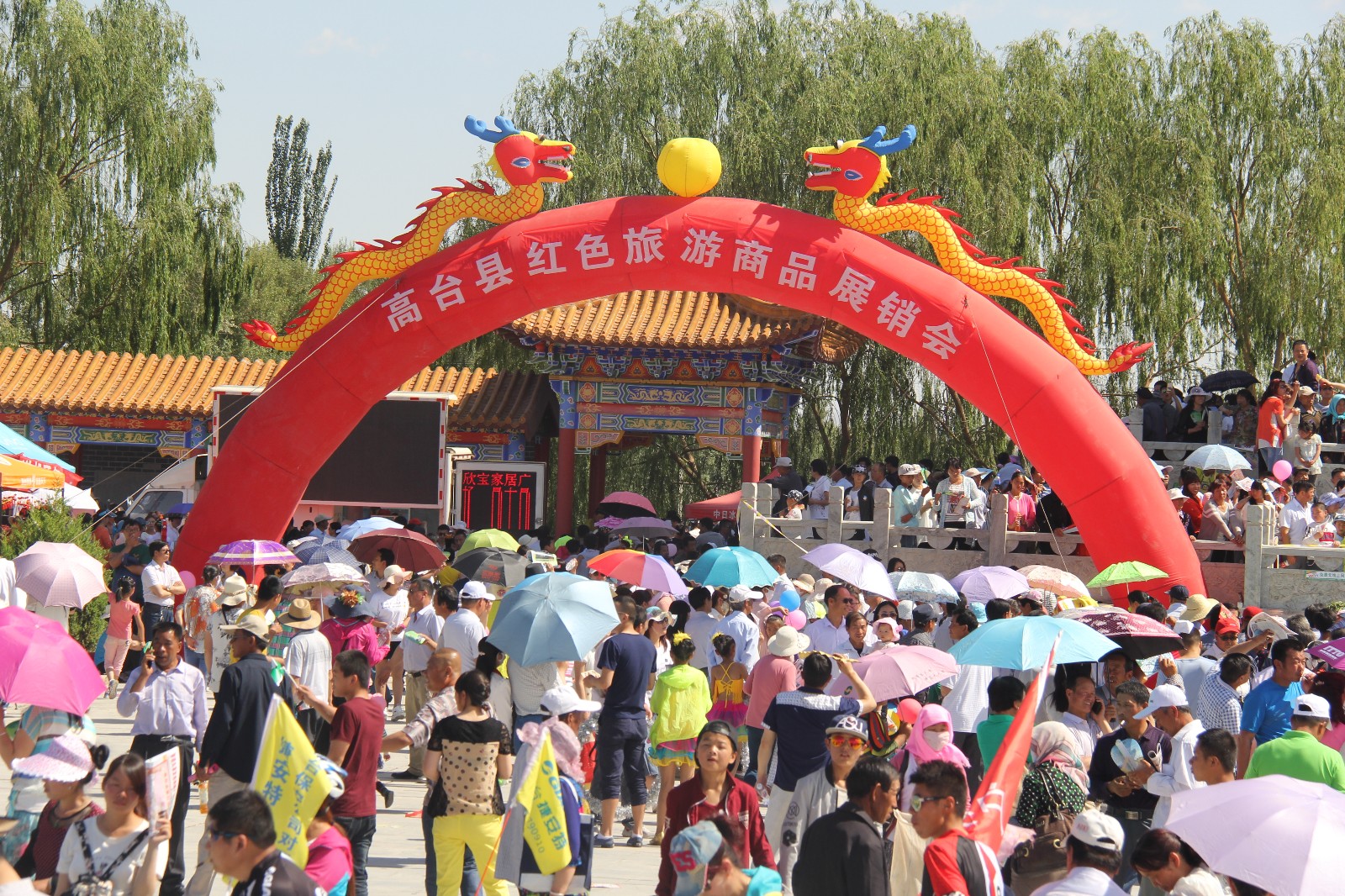 IMG_2596.JPG IMG_2596.JPG