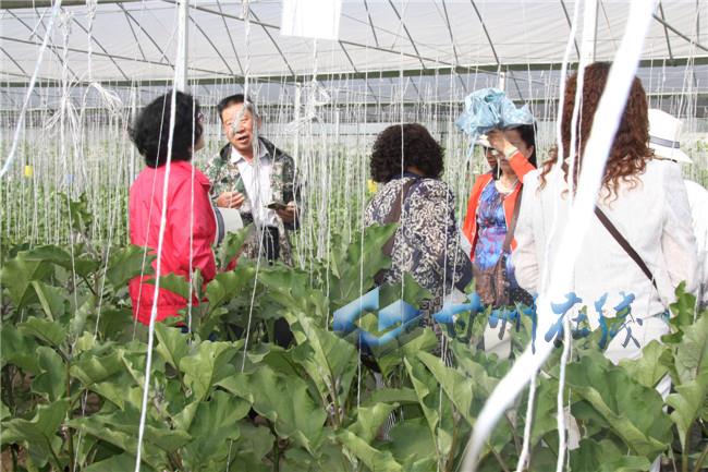 6360348628342041083483068.jpg 6360348628342041083483068.jpg