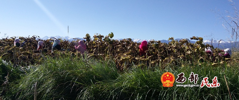 南古镇图片2.png 南古镇图片2.png