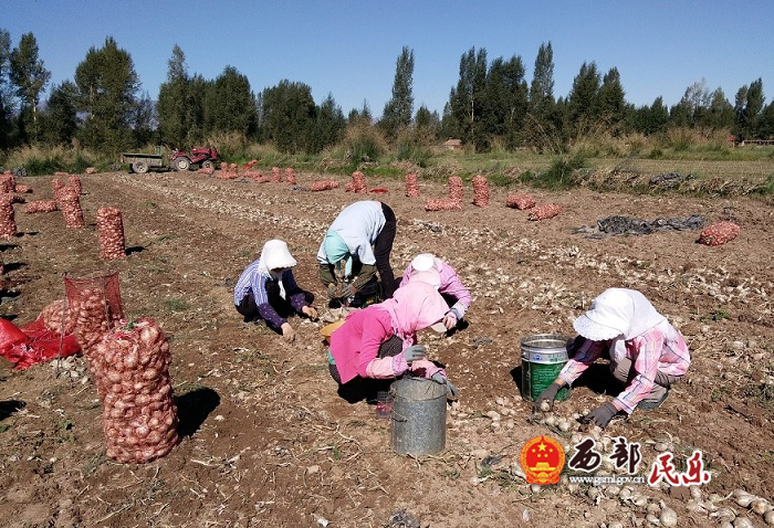 南古镇图片1.png 南古镇图片1.png