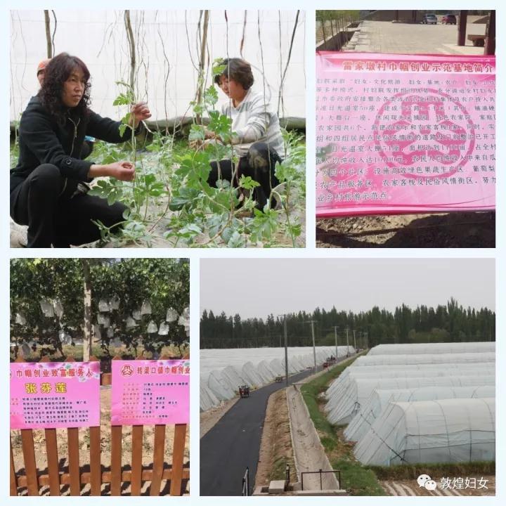 微信图片_20171120152935.jpg
