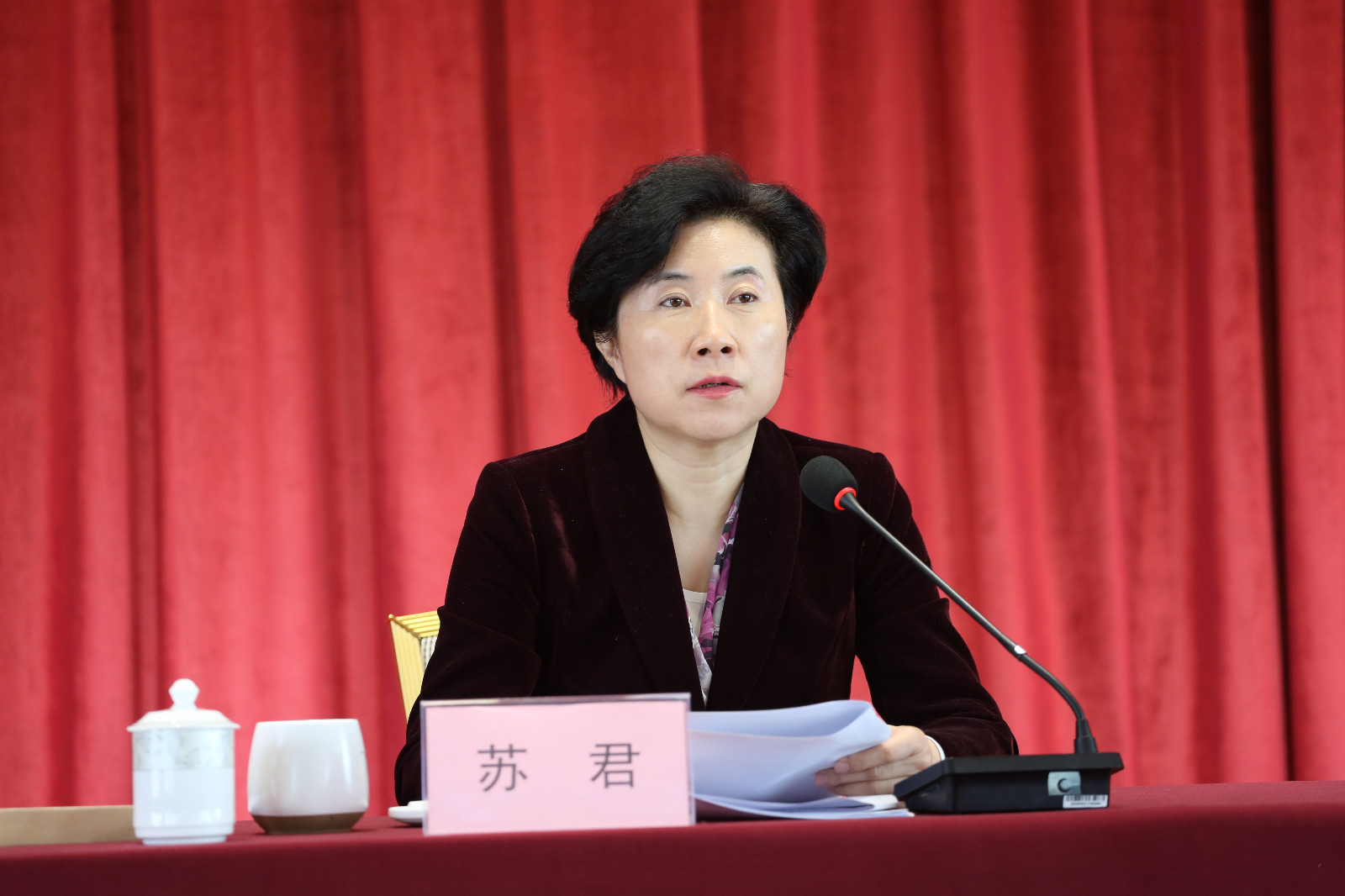 照片 175.jpg