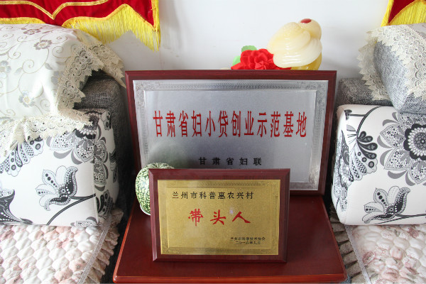 IMG_9121_meitu_5.jpg