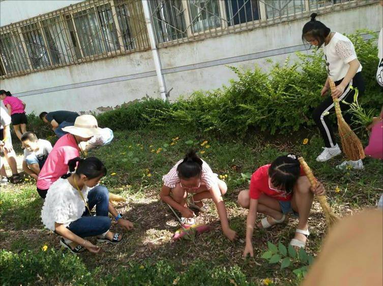 图片17.jpg 图片17.jpg